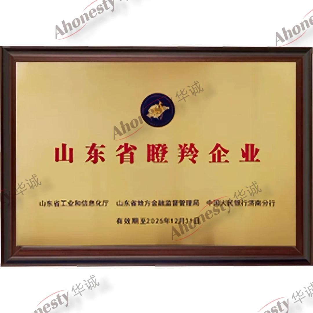 Plaque for the Shandong Provincial Gazelle Enterprise award, valid to 31 December 2025